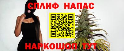 индика Ярославль