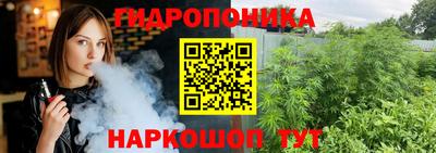 индика Ярославль