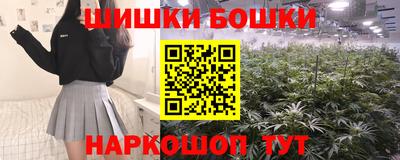 индика Ярославль