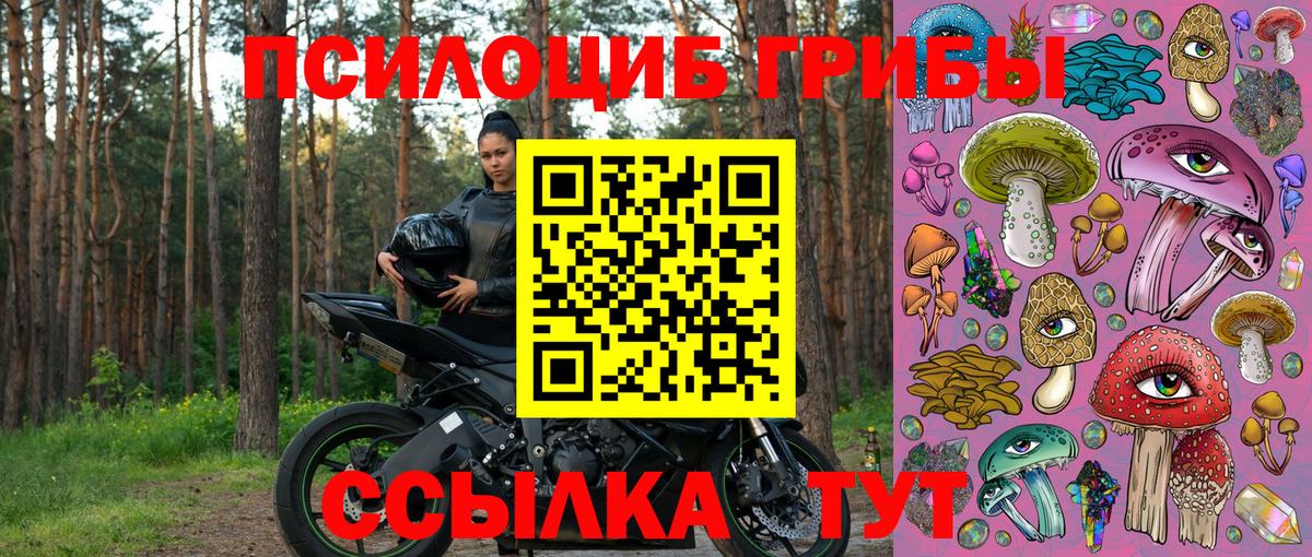 Волжск  Псилоцибиновые грибы ЛСД  Вход с VPN 
