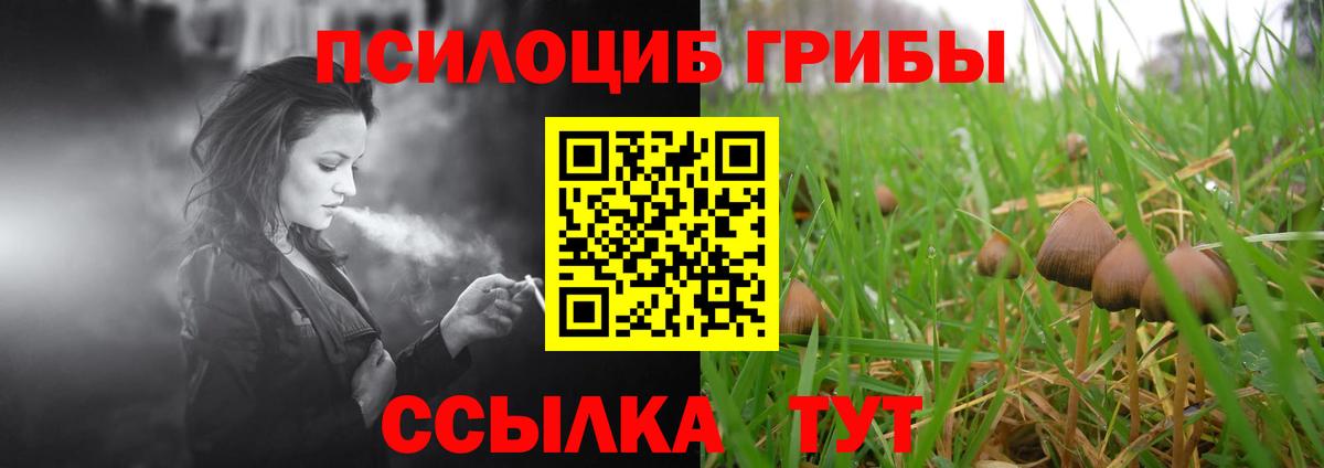 Галлюциногенные грибы Magic Shrooms Волжск